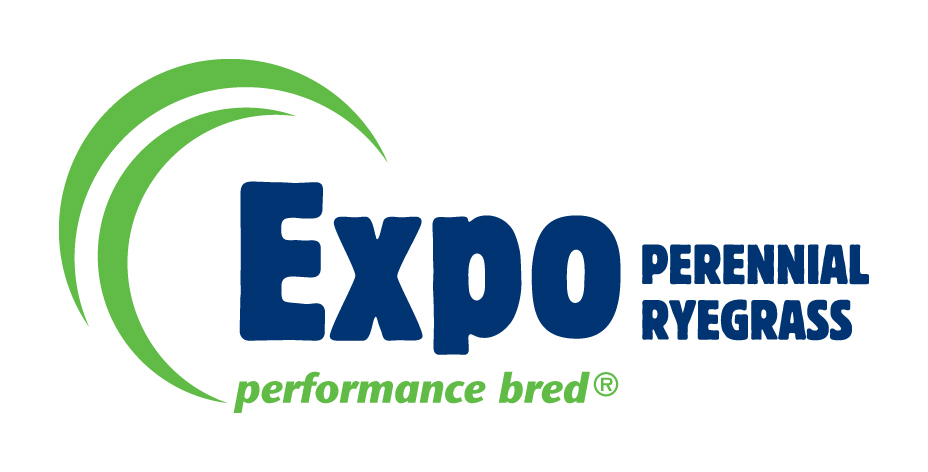 Expo