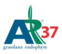 AR37 Footer Logo